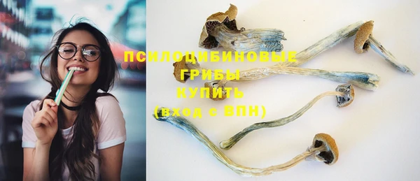 ALPHA PVP Алзамай